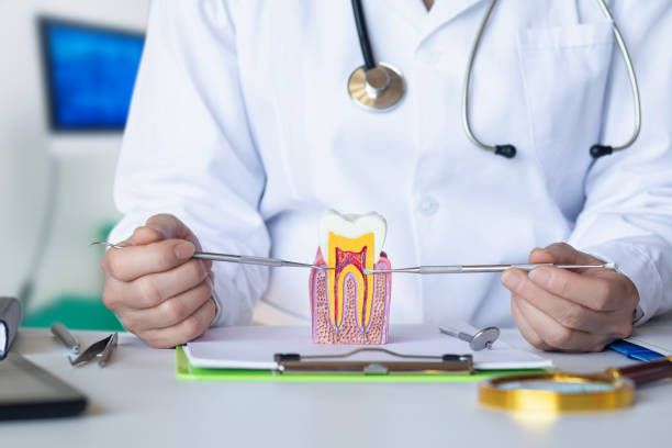 Best Pediatric Emergency Dentist in Dunlap, IA